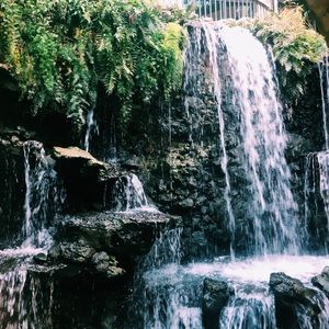 Meet your Posher, Gianna